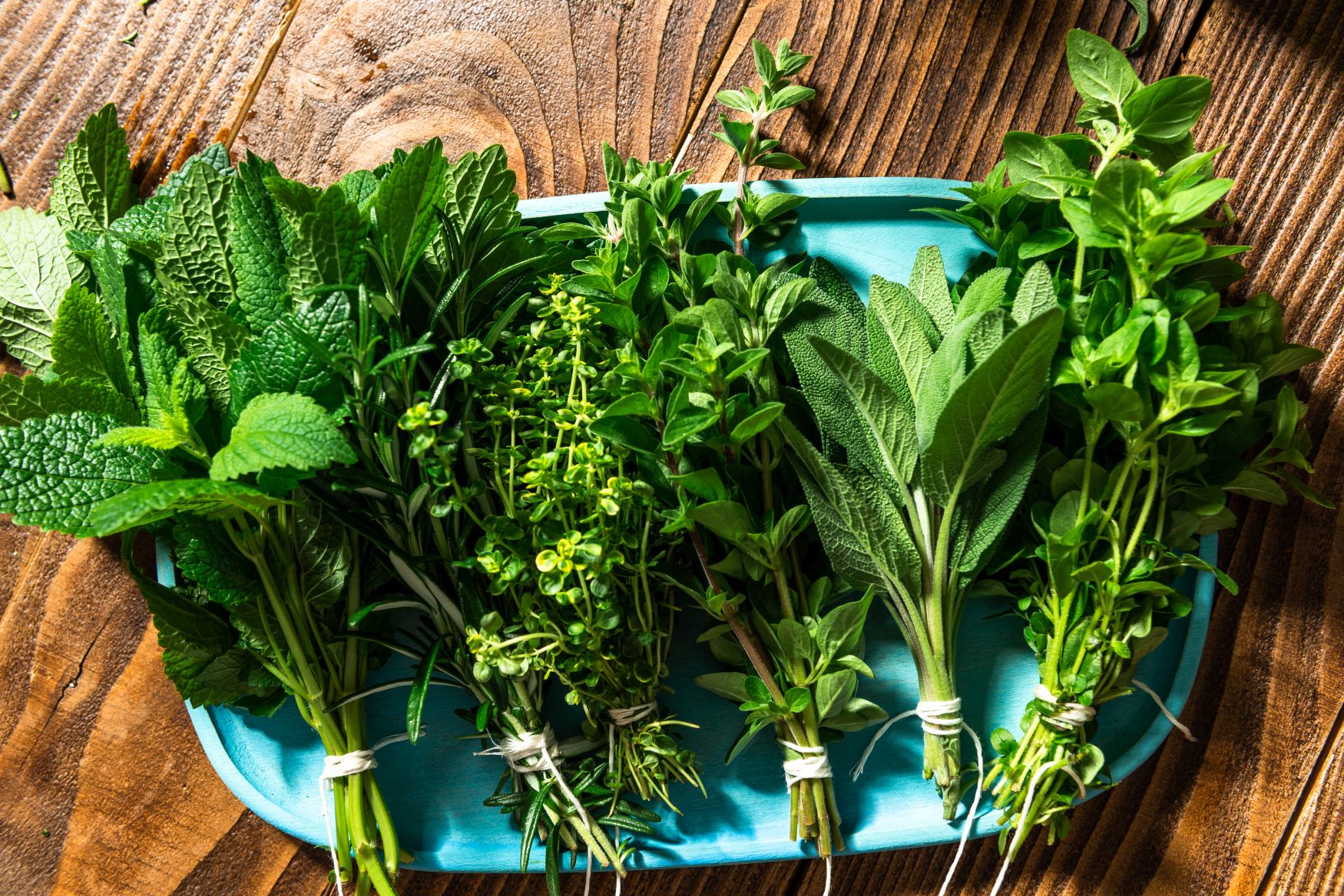 production-commercialisation-herbes-aromatiques-madnoos-aromatiques-perpignan-maroc-légumes-mondial